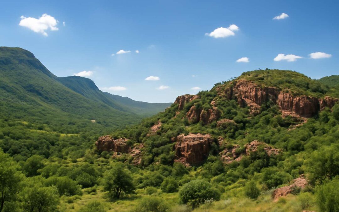 Top Places to Visit in Krugersdorp for an Unforgettable Adventure