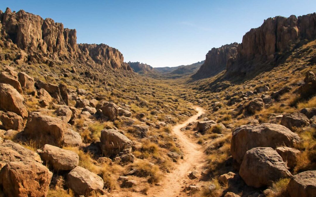 Explore rock valley krugersdorp: trails, culture, and bold city skyline views.