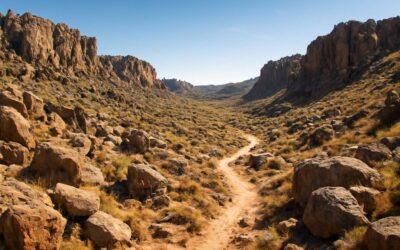 Explore rock valley krugersdorp: trails, culture, and bold city skyline views.